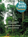 热带森林和森林