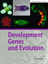 发育基因与进化