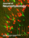 神经生理学杂志