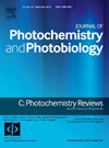光化学与光生物学杂志 C-光化学评论