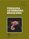 巴西兽医研究