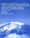 地中海植物病理学