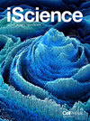 Iscience杂志
