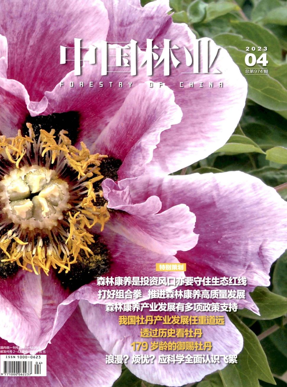 中国林业杂志
