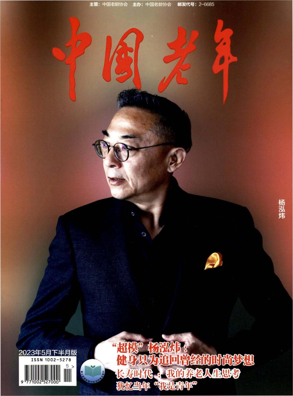 中国老年杂志