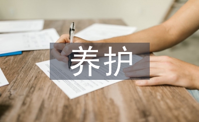 养护站工作经验总结