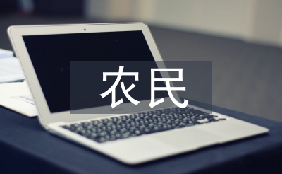 农民消费论文