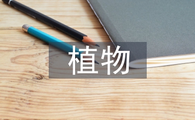 植物保护的方式