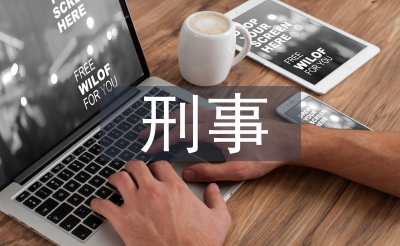 律师刑事申诉总结