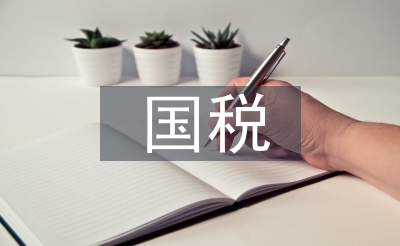 国税党建工作总结