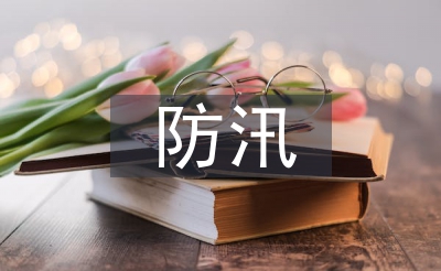 防汛减灾排查报告