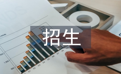 招生自查工作总结