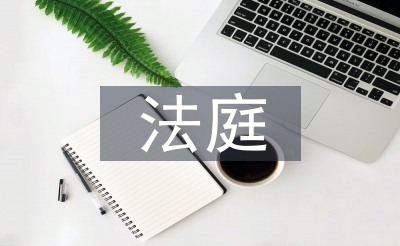 法庭半年工作总结