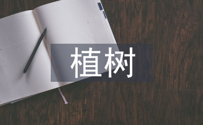 植树问题教学设计