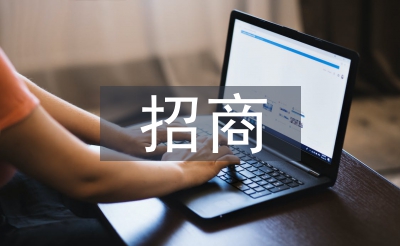 执法局招商工作总结