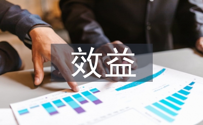 效益审计论文