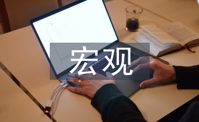 宏观经济管理论文