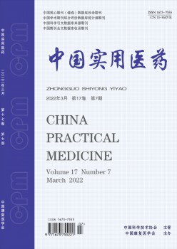 中国实用医药杂志