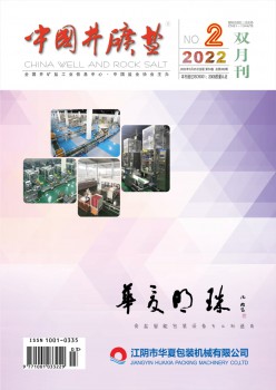 中国井矿盐杂志