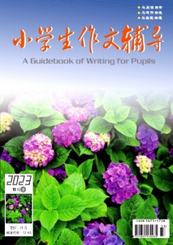 小学生作文辅导·下旬杂志