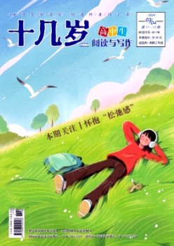 十几岁杂志